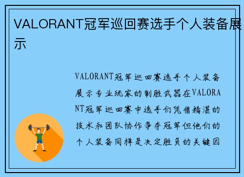 VALORANT冠军巡回赛选手个人装备展示